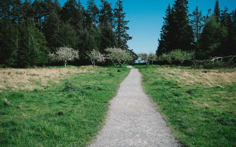 Coquitlam single-family lot with SSMUH multiplex potential